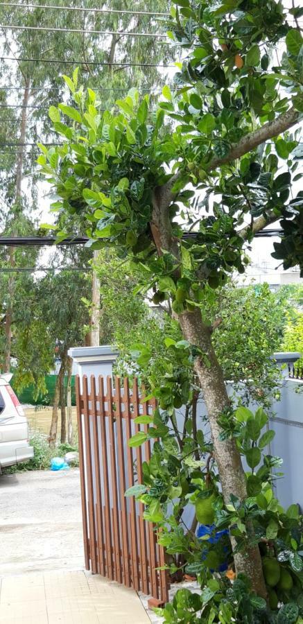Lucky 190 ξενώνας Chau Doc Εξωτερικό φωτογραφία